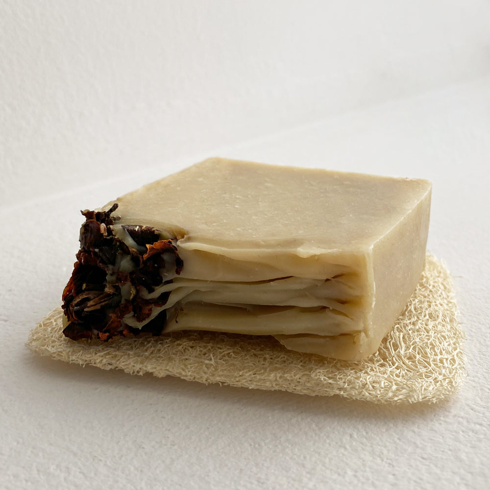 JABONERA DE LUFFA NATURAL